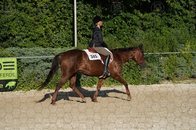 sA9K06045.JPG